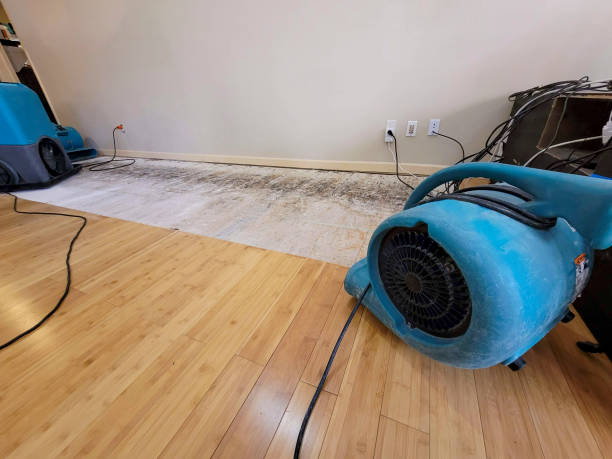 Professional Basement Flood Cleanup technician working in Big Pine Key, FL